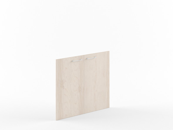 Двери низкие XLD 42-2 846х18х765 XTEN в Кирове 